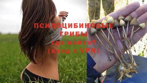 spice Абдулино