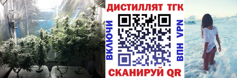 цена   Миллерово  Дистиллят ТГК Wax 